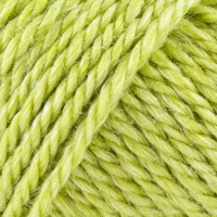 No6 Organic Wool + Nettles - 624 Limegroen
